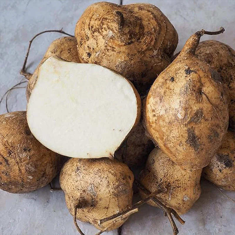 Jicama Seeds Heirloom Mexican Yam Bean Non-GMO Mexican Turnip Seeds Fresh Garden Seeds - Image 2