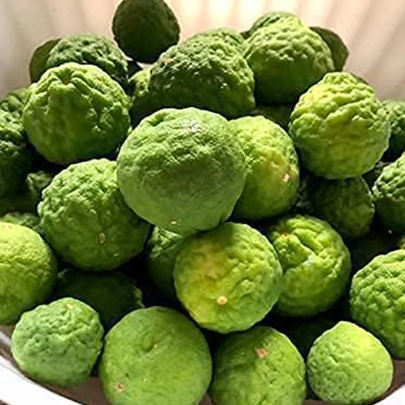 Thai Kaffir Lime Fruit Seeds - Image 4