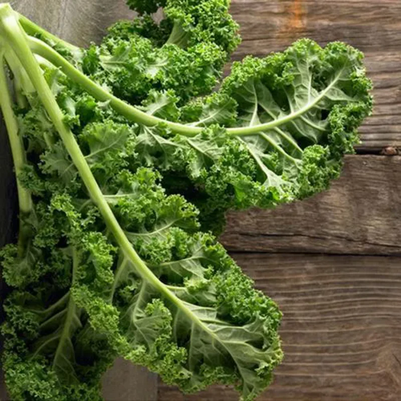 Kale Seeds - Image 6