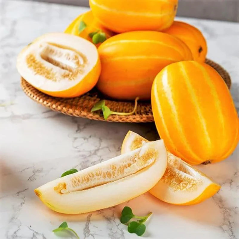Korean Melon Seeds Chamoe Yellow White Oriental Japanese Cantaloupe - Image 6