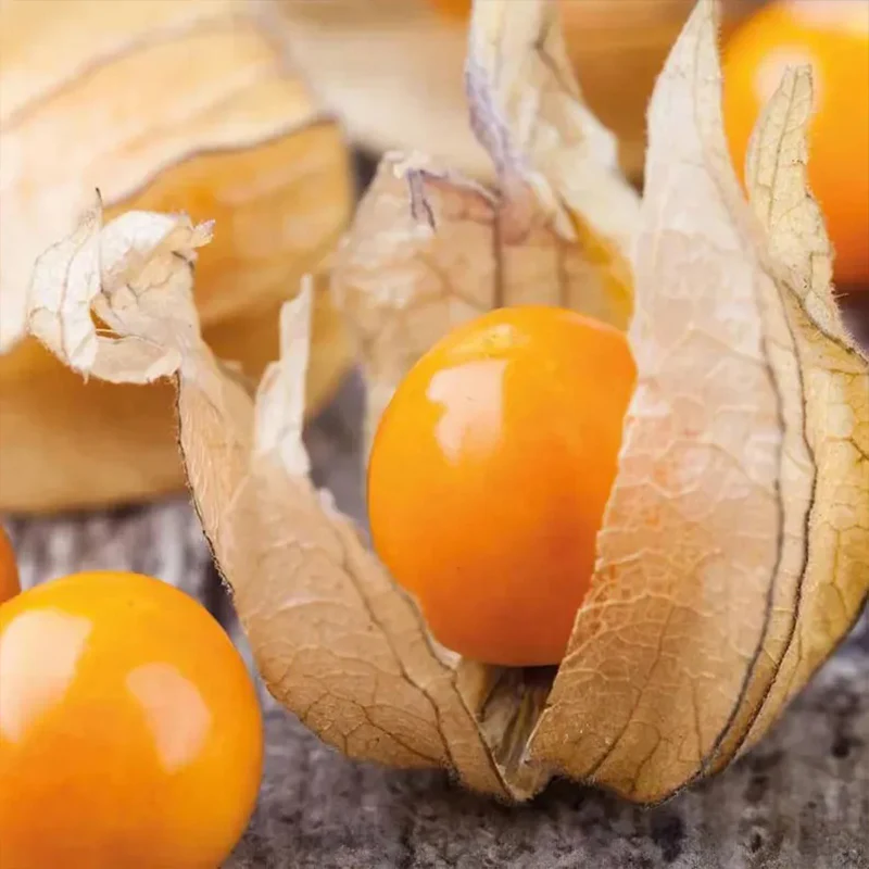Lantern Cherry Seeds Winter Ground Cherry Strawberry Ground Cherry - Image 9