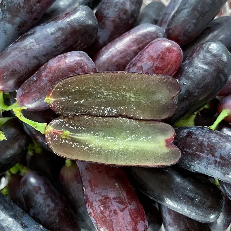 High Quaility Sapphire Grapes Seeds - Image 3
