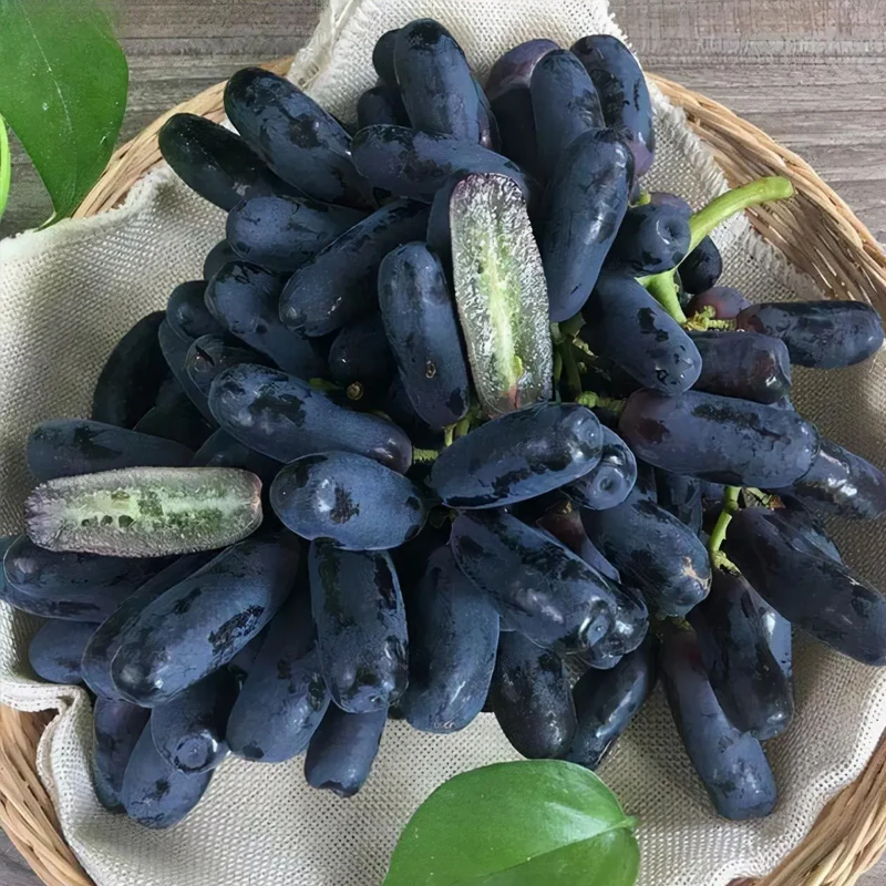 High Quaility Sapphire Grapes Seeds - Image 7