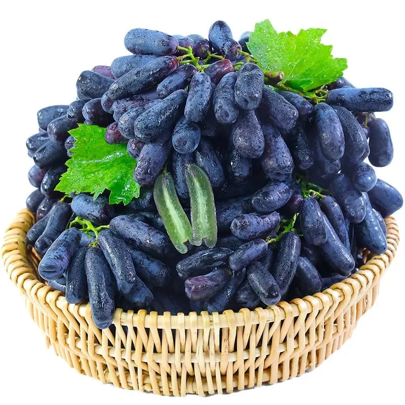 High Quaility Sapphire Grapes Seeds - Image 8