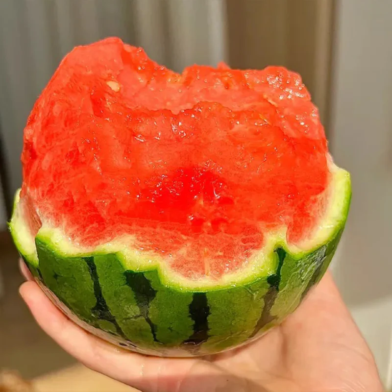 Lazy Man's Watermelon Seeds - Image 3