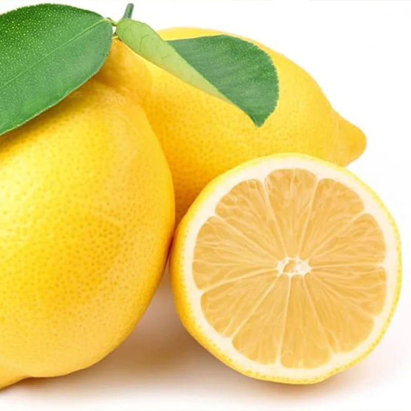 Lemon Seeds for Planting Organic High Survival Rate Lemon Tree Seeds Planting for Home Garden - Image 4