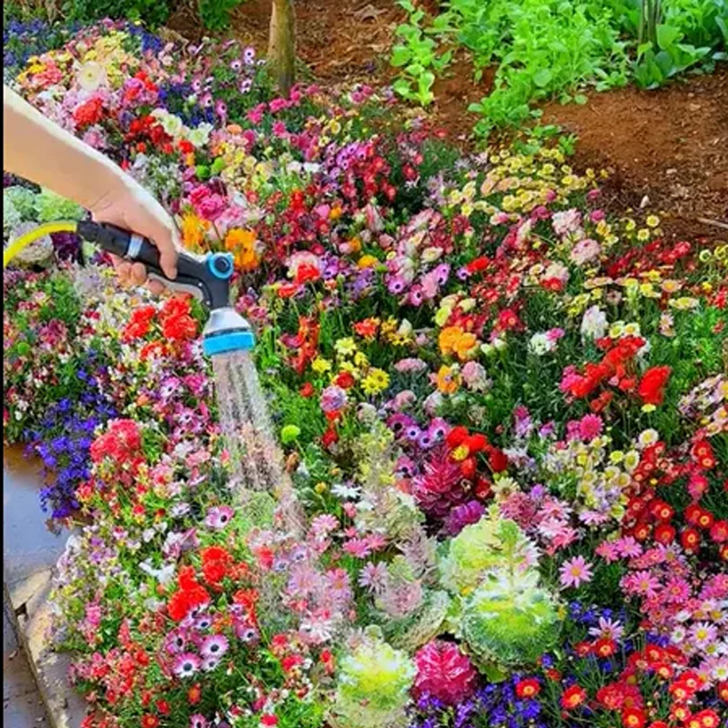 Mixed Perennial Flowers Seeds - Image 3