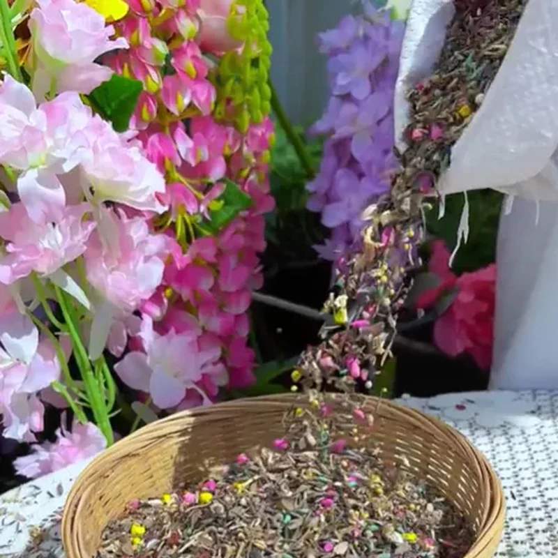 Mixed Perennial Flowers Seeds - Image 4