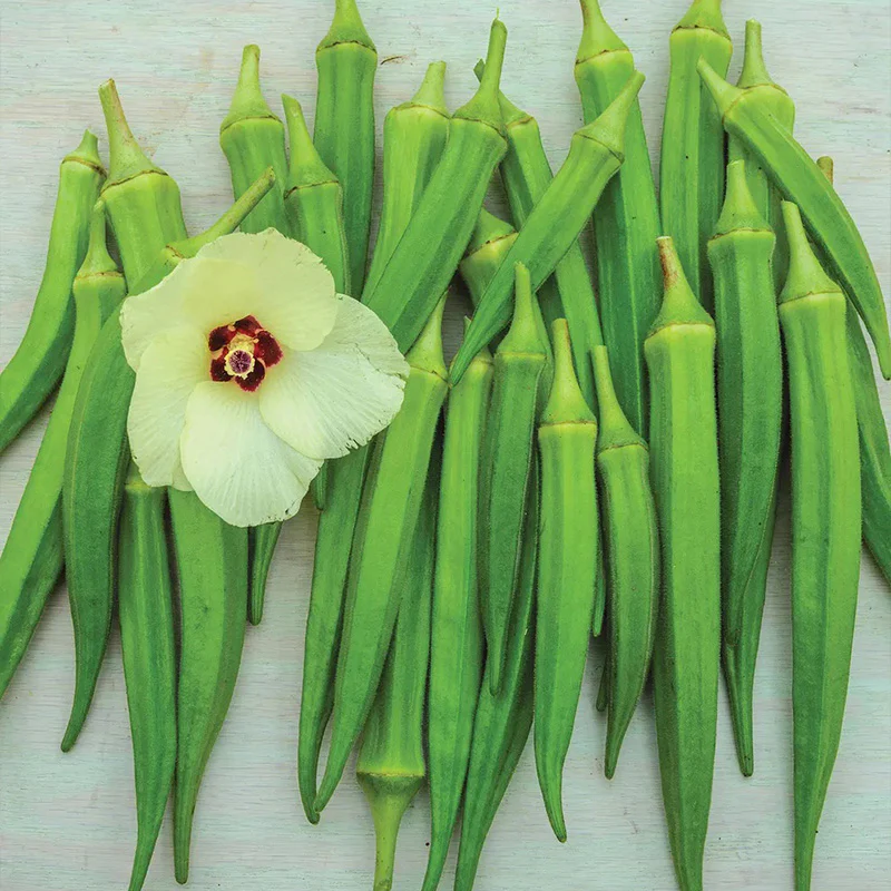Okra, Clemson Spineless - Image 3