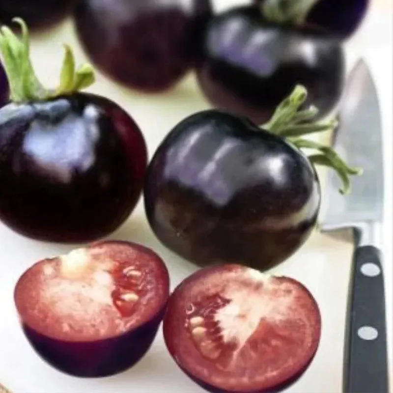 Organic Indigo Rose Tomato Seeds,Solanum Lycopersicum - Image 5