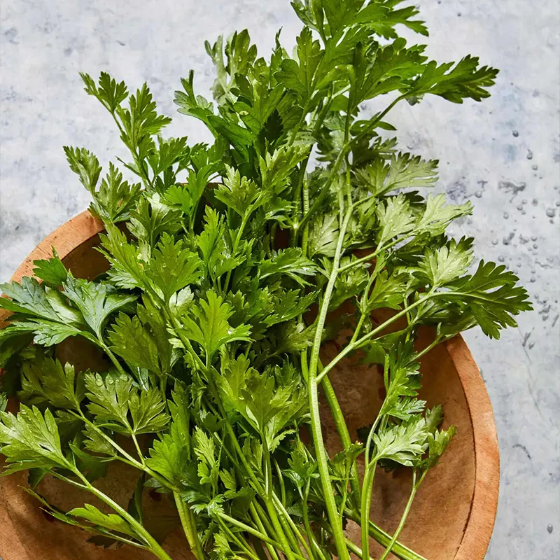 Parsley, Single Italian - Image 3