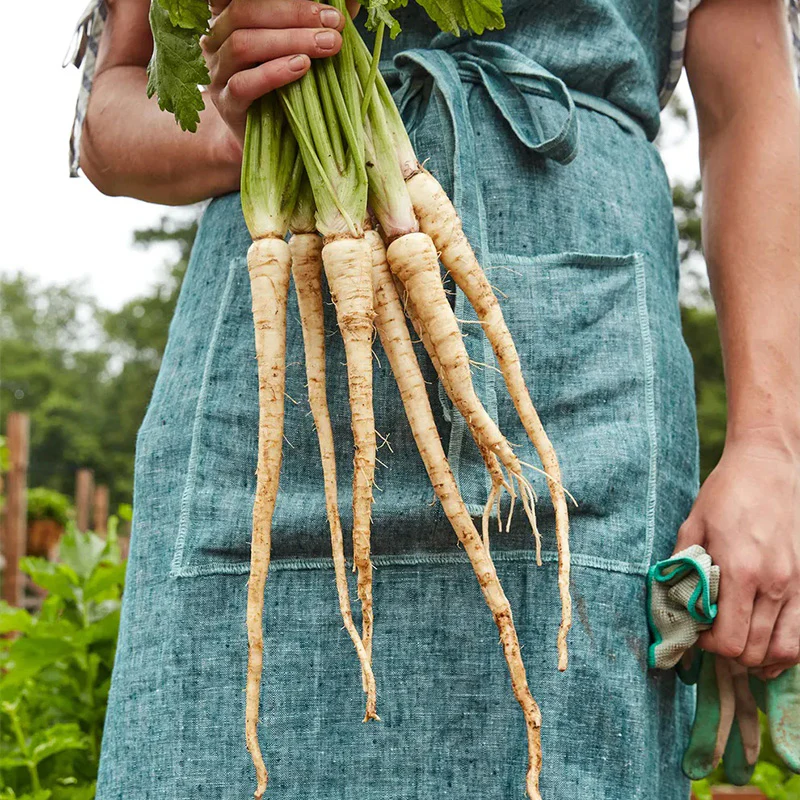 Parsnip, Hollow Crown - Image 2