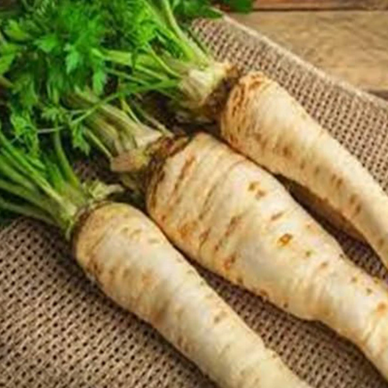 Parsnip Vegetable Seeds - Image 2