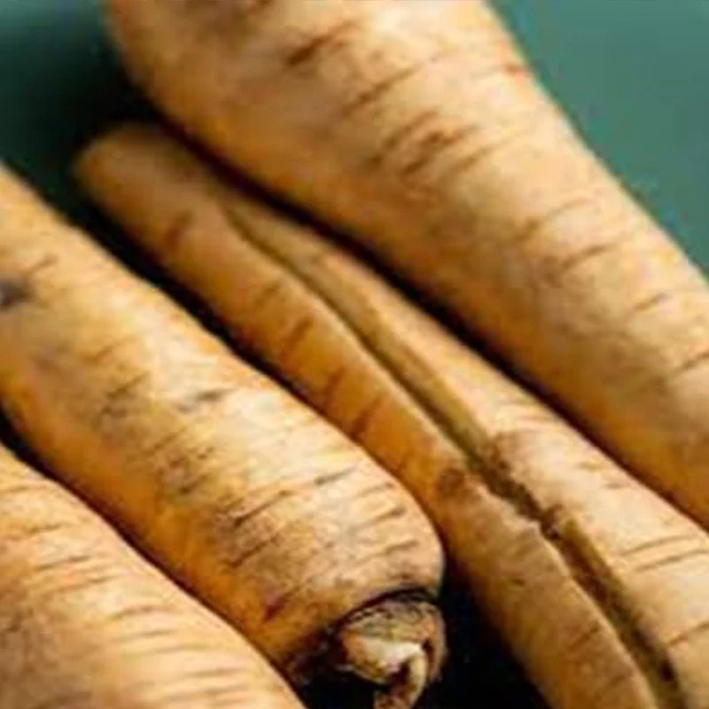 Parsnip Vegetable Seeds - Image 5
