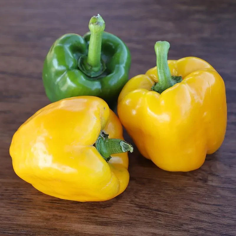 Pepper Deniro F1 Organic - Image 3