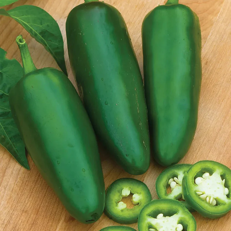 Pepper, Hot Jalapeno, Big Guy Hybrid - Image 2