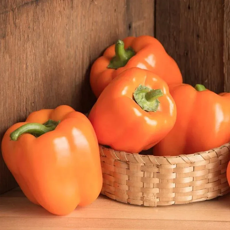 Pepper Milena F1 Organic - Image 4