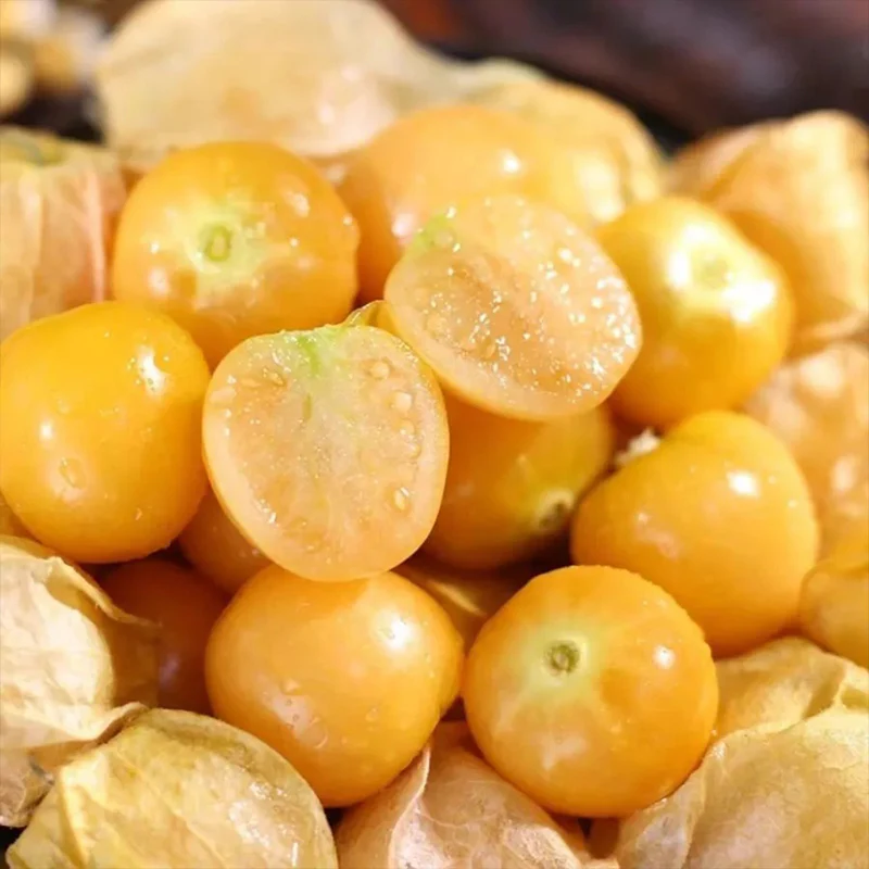 Physalis Peruviana Fruit-Lantern Fruit Seeds - Image 5