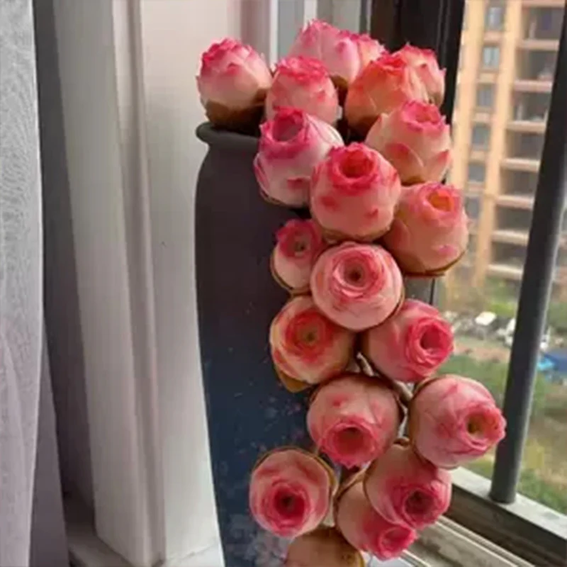Pink Mountain Rose Succulent - Image 6