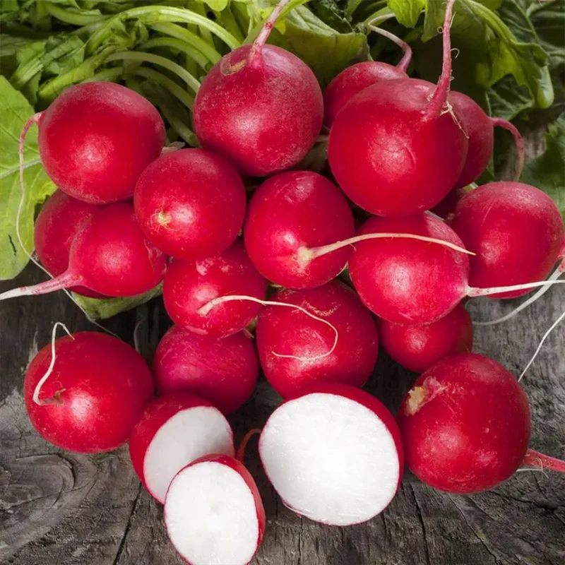Radish Celesta F1 Organic - Image 2