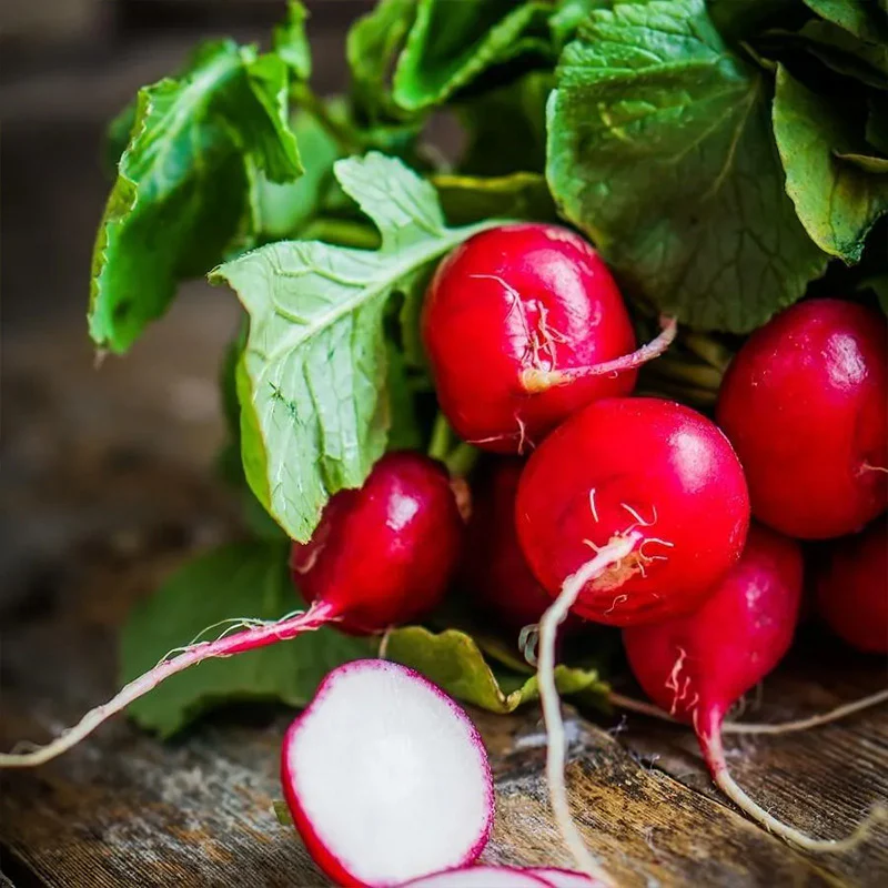 Radish Celesta F1 Organic - Image 3