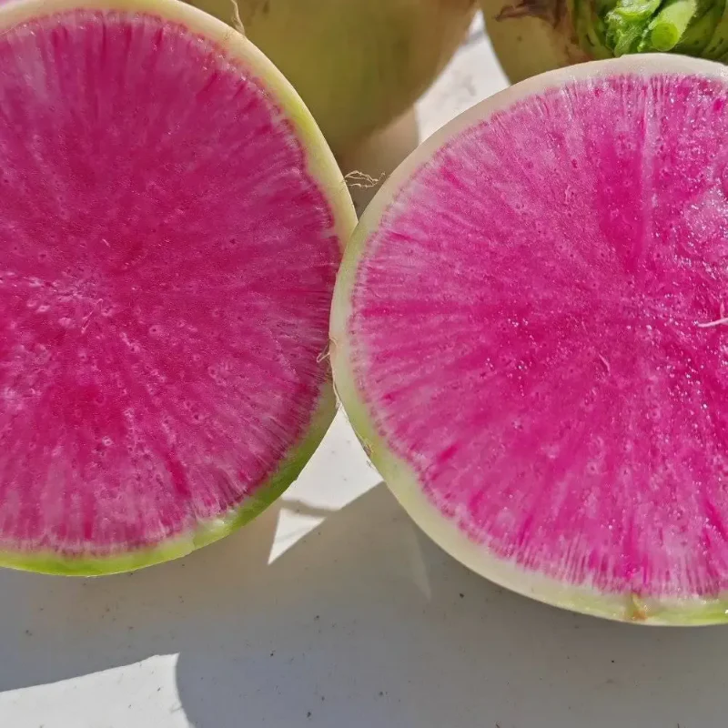Radish Watermelon Seeds - Image 3