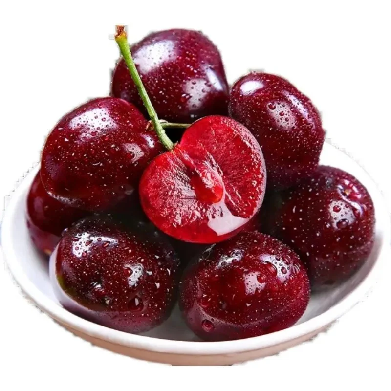 Rainier Cherry Fruit Seeds(Can be planted in winter) - Image 5