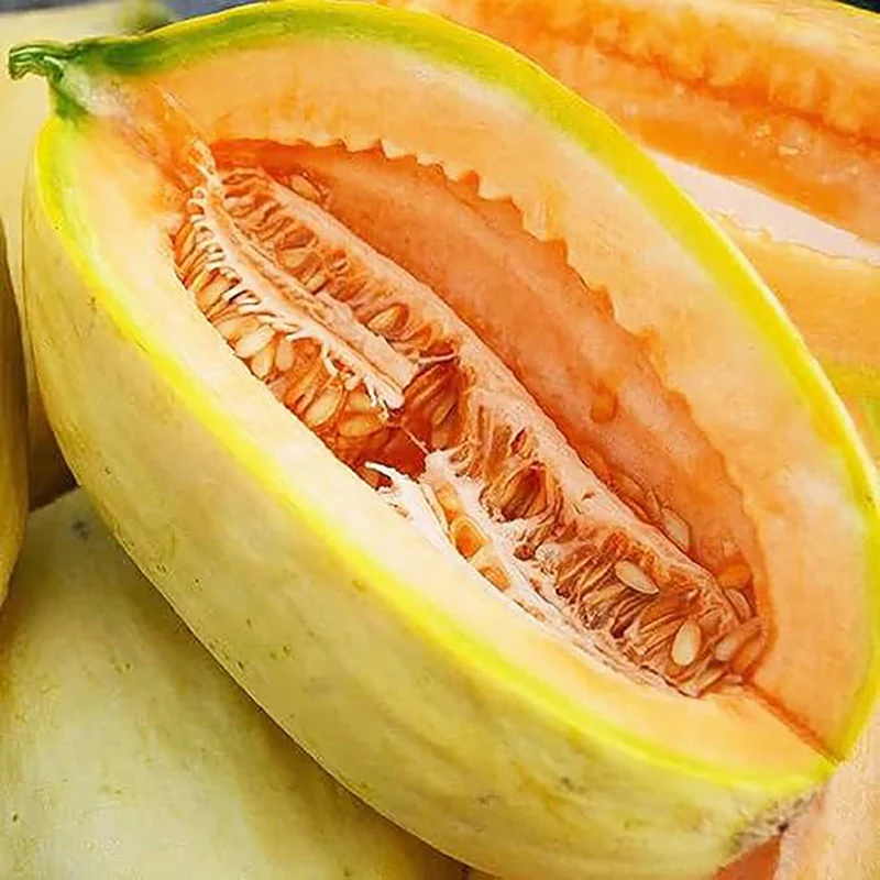Rare Banana Melon Seed Exotic Charm Sweet Fruit Unique Flavor - Image 3