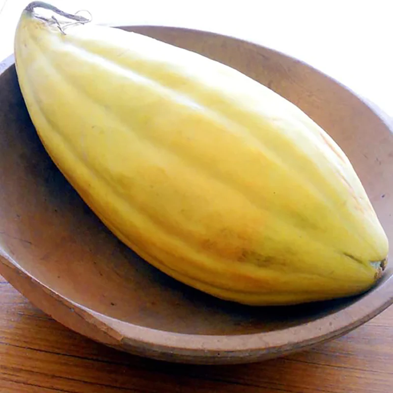Rare Banana Melon Seed Exotic Charm Sweet Fruit Unique Flavor - Image 4
