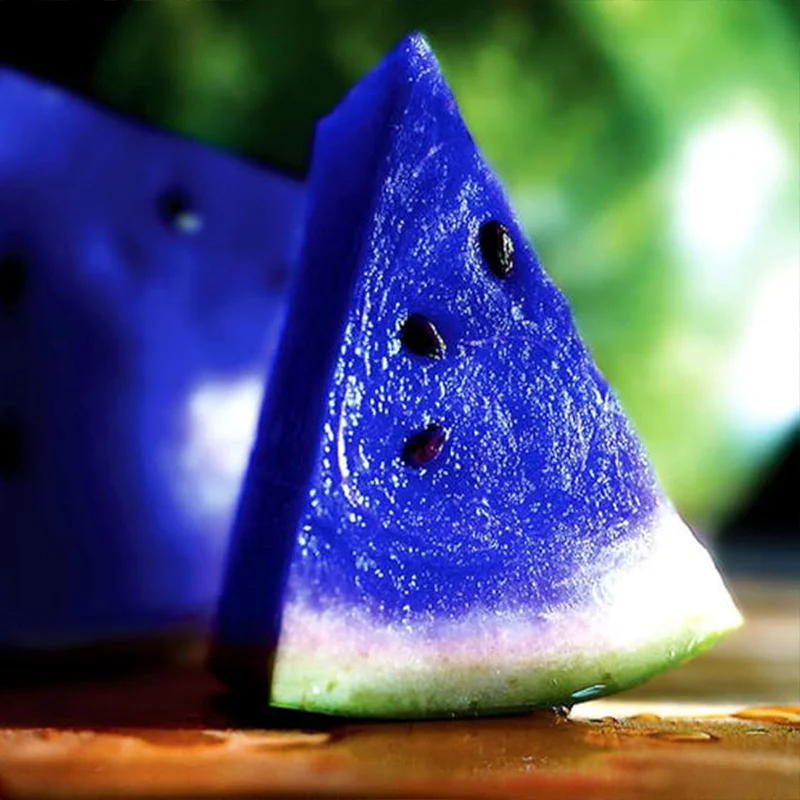 Rare Blue Watermelon Fruit Seed Sweet Juicy Fruits High Germination Rate - Image 3
