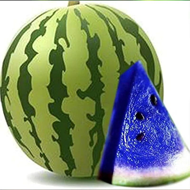 Rare Blue Watermelon Fruit Seed Sweet Juicy Fruits High Germination Rate - Image 4