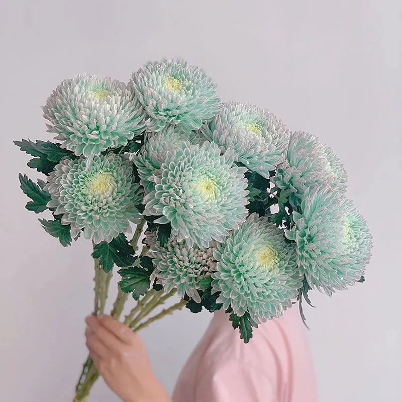 Rare Peony Chrysanthemum - Image 4