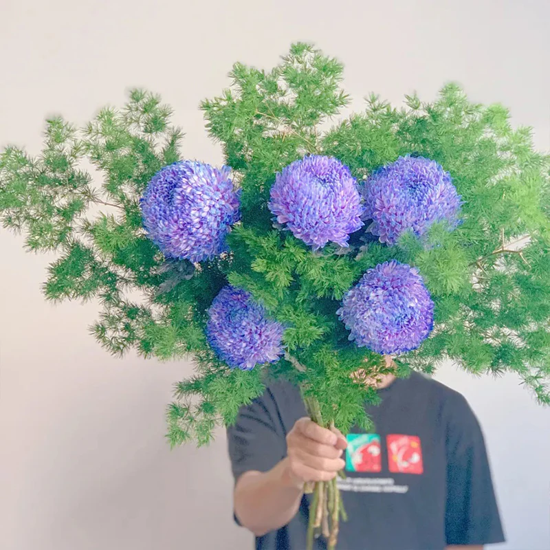 Rare Purple Peony Aster - Image 3