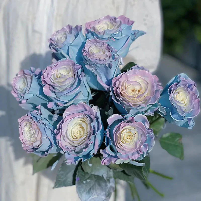 Rare Rose - Fairy Tale - Image 2