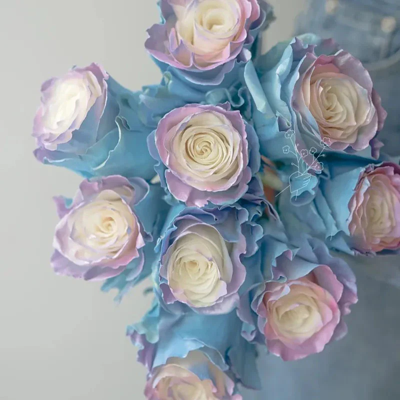 Rare Rose - Fairy Tale - Image 3