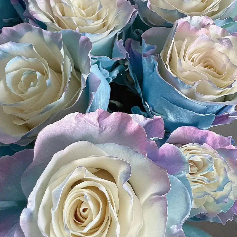 Rare Rose - Fairy Tale - Image 4