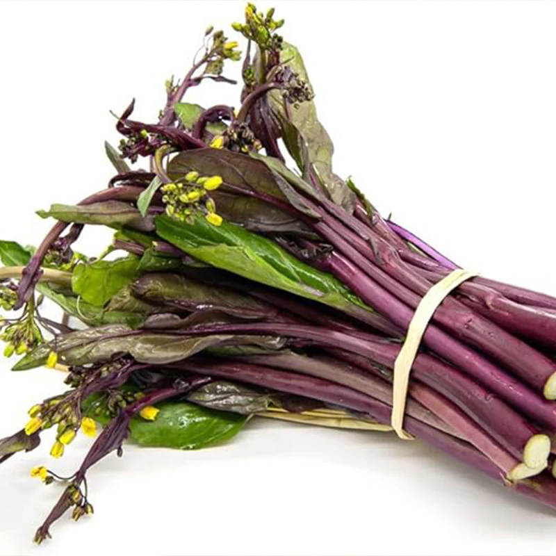 Red Chinese Kale Seeds, Vegetable Seeds for Plating - Image 3