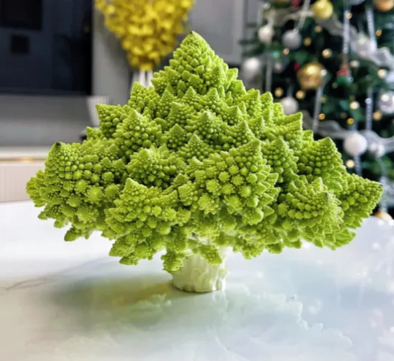 Roman Pagoda Cauliflower Seeds - Image 2