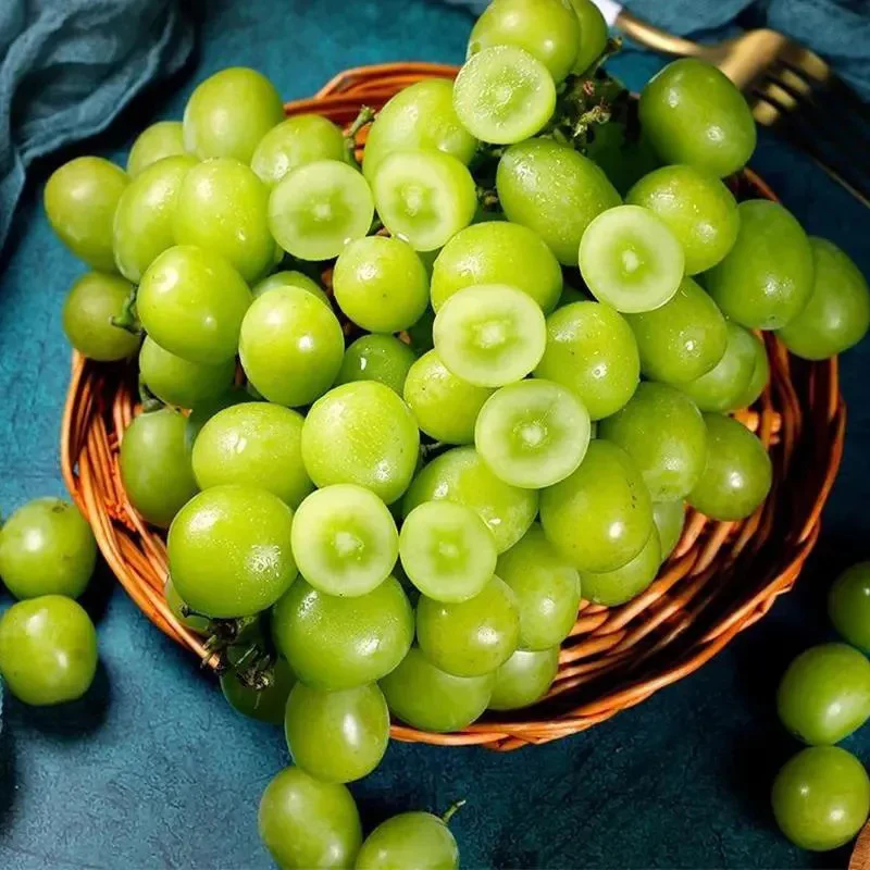 Shine Muscat Tree Seeds-Sunshine Rose Grape（Can be potted）