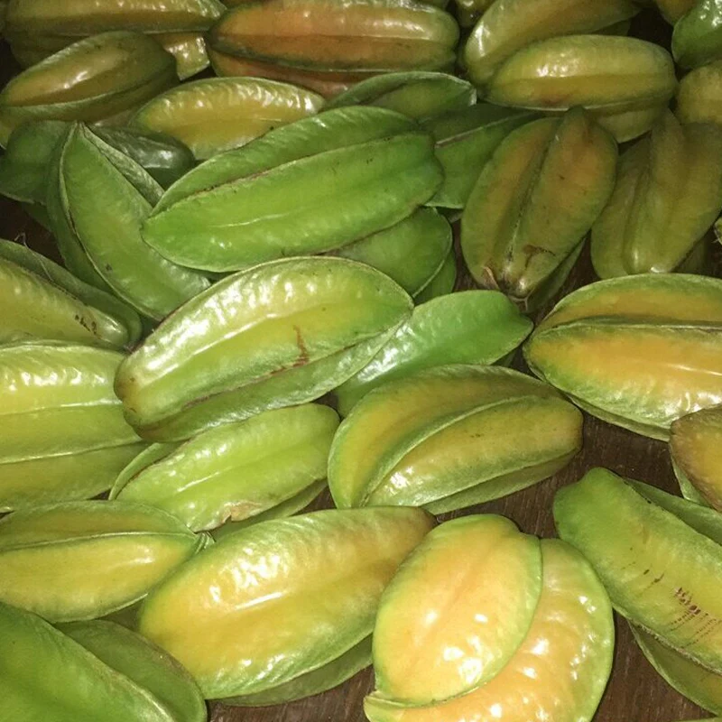 Star Fruit Seeds - Image 3