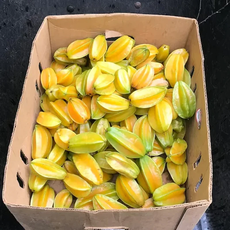 Star Fruit Seeds - Image 4