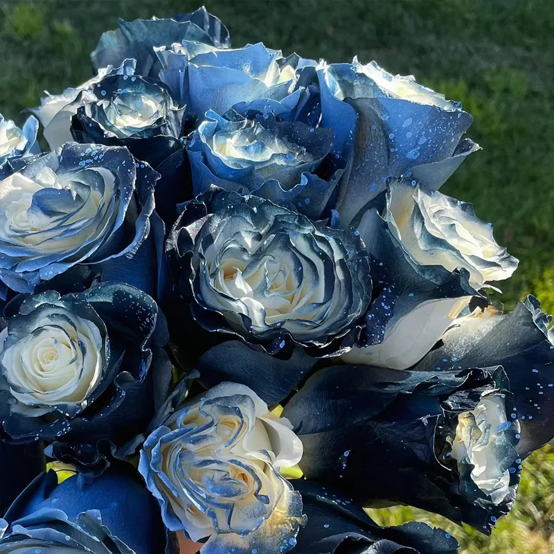Starry Galaxy Rose - Rare Rose - Image 3