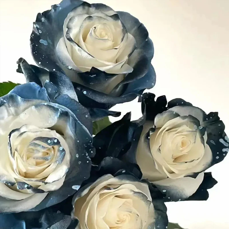 Starry Galaxy Rose - Rare Rose - Image 6