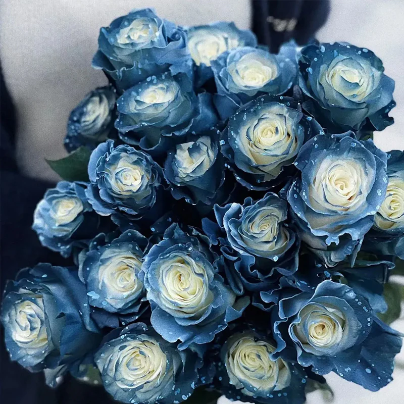Starry Galaxy Rose - Rare Rose - Image 7