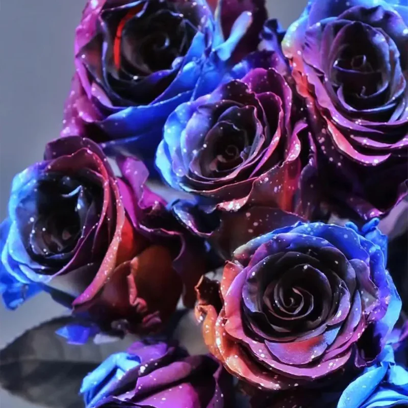 Starry Sky Roses - Image 2