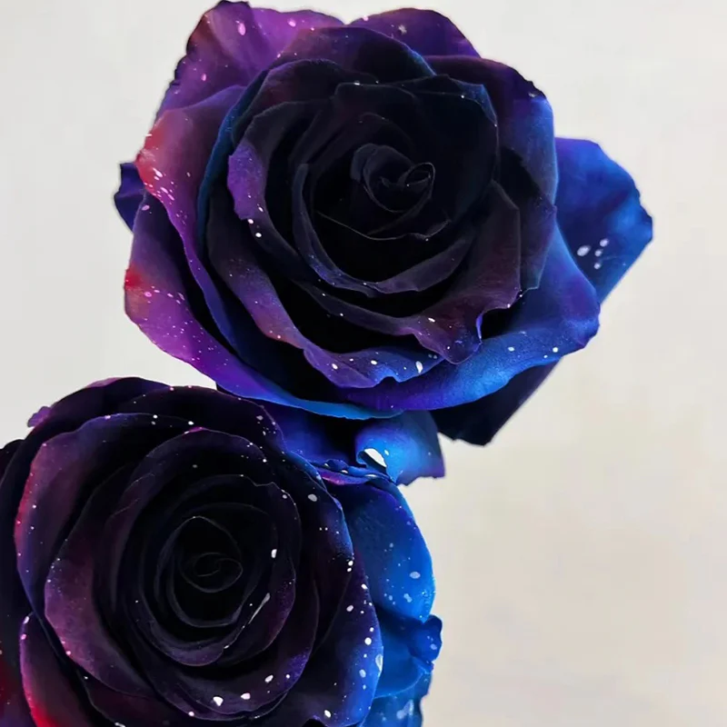 Starry Sky Roses - Image 5