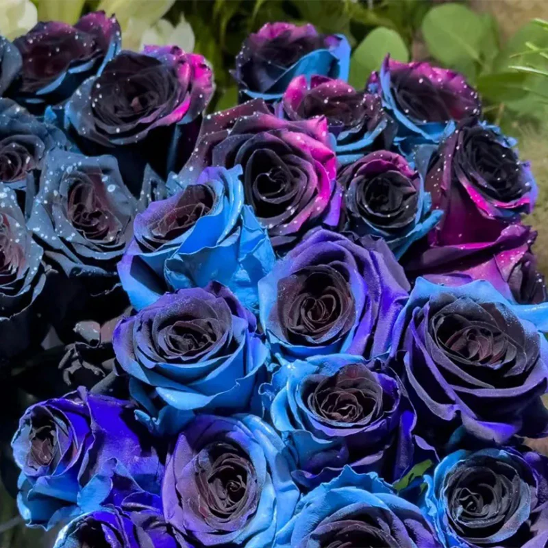 Starry Sky Roses - Image 6