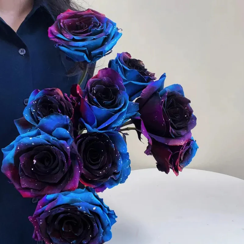 Starry Sky Roses - Image 7