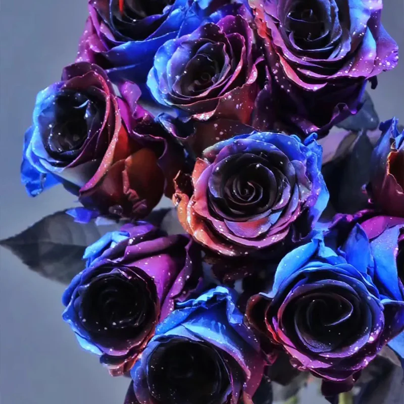 Starry Sky Roses - Image 8