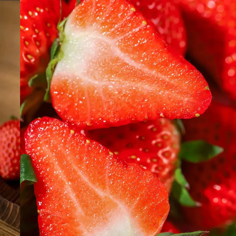 Strawberry Cream Seeds - Image 11